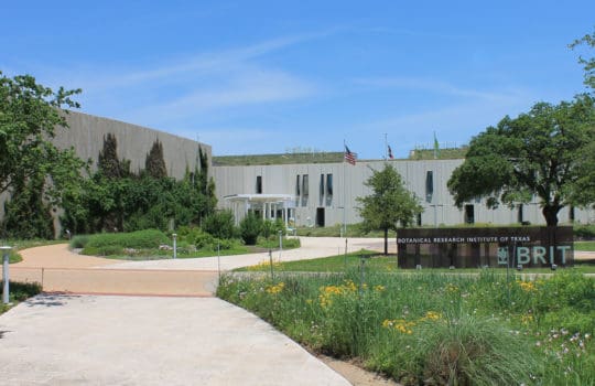 View Project: Botanical Research Institute of Texas